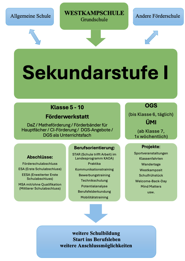 Aufbau Hauptschulstufe